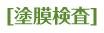 給水管工事・更生工事のトーヨー興産株式会社の[塗膜検査]